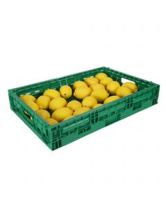 Green Collapsible Vegetable Baskets - L58cm W38.5cm D9.5cm